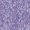 Reflex Violet